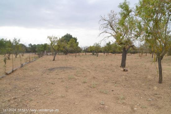 Magnifica finca en Campanet - BALEARES