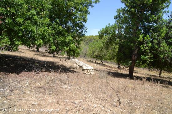 Finca rústica en Campanet - BALEARES