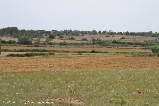 Finca Petra - BALEARES