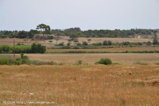 Finca Petra - BALEARES