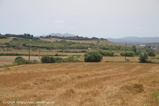 Finca Rústica Petra - BALEARES