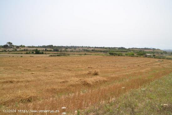 Finca Rústica Petra - BALEARES