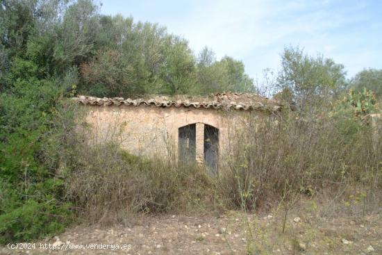  Finca en Sineu - BALEARES 