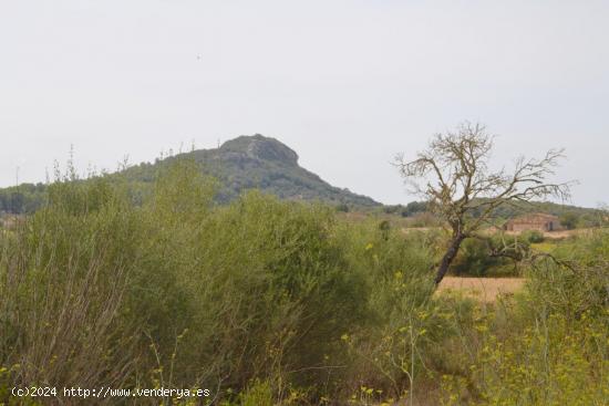 Finca en Sineu - BALEARES