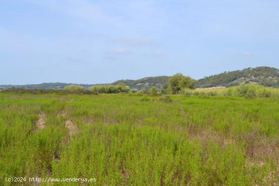 Finca en Sineu - BALEARES