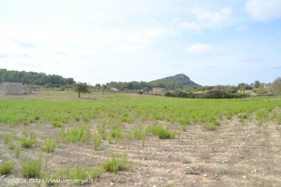 Finca rústica Sineu - BALEARES