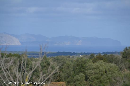 Finca rústica Manacor - BALEARES