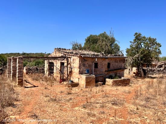 Finca rústica Santa Margalida - BALEARES