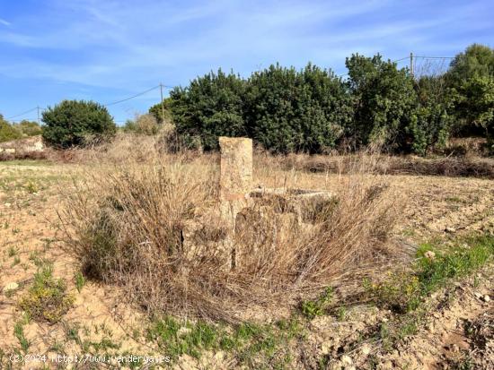 Finca rústica Alcudia - BALEARES