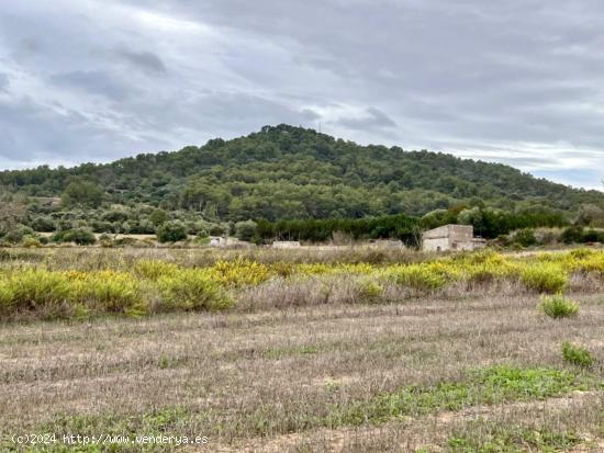 Finca rústica en Petra - BALEARES