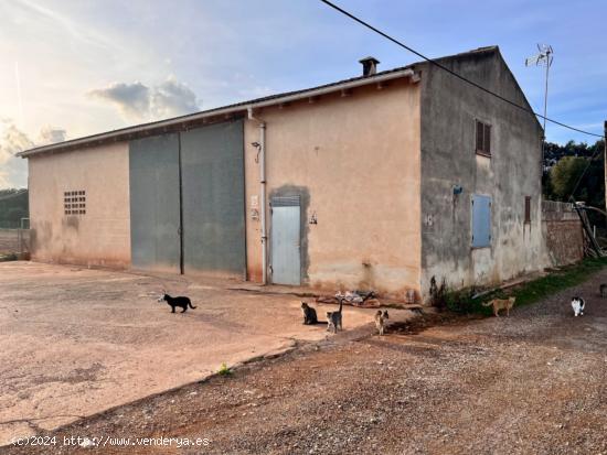 Finca en Llubi - BALEARES