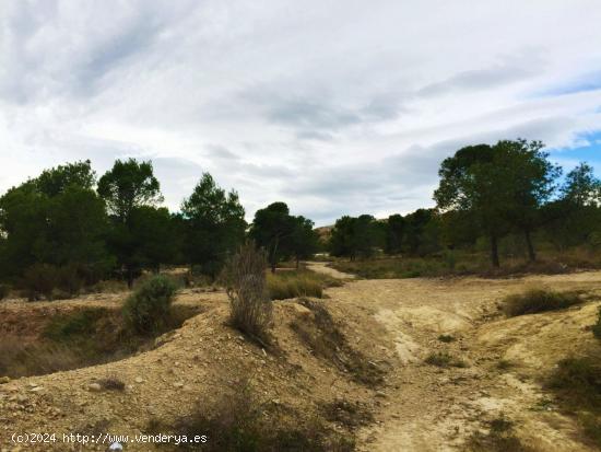 Fantástico solar ubicado en Mutxamel en la Urbanización Valle del Sol - ALICANTE