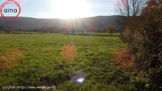 TERRENO URBANO Y URBANIZABLE CON PROYECTO DE CONSTRUCCIÓN DE 8 VIVIENDAS - NAVARRA