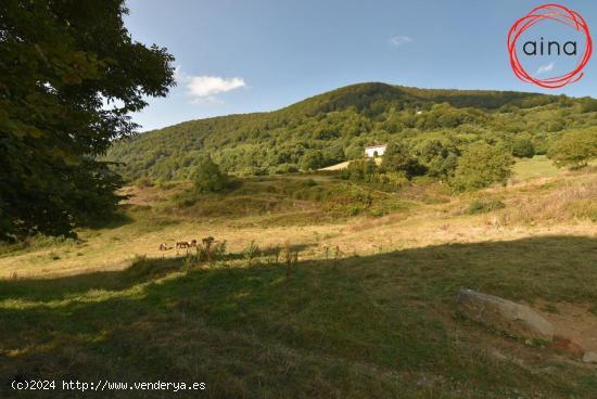  Terreno con bosque en Arrarats-Basaburua - NAVARRA 