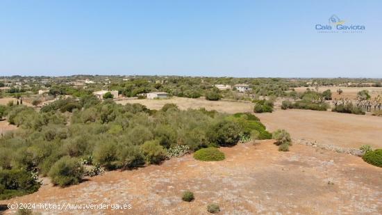  Terreno de 14.200 m2 a 4 km de Colonia de Sant Jordi - BALEARES 