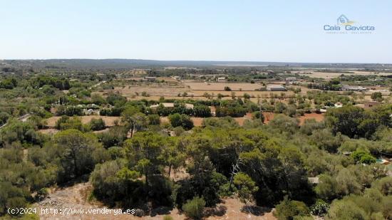 Terreno de 14.200 m2 a 4 km de Colonia de Sant Jordi - BALEARES