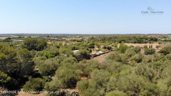 Terreno de 14.200 m2 a 4 km de Colonia de Sant Jordi - BALEARES