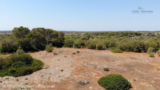 Terreno de 14.200 m2 a 4 km de Colonia de Sant Jordi - BALEARES