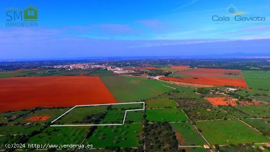 Terreno rústico de más de 18.500 m2 cerca de Ses Salines - BALEARES