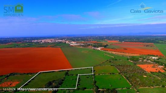 Terreno rústico de más de 18.500 m2 cerca de Ses Salines - BALEARES