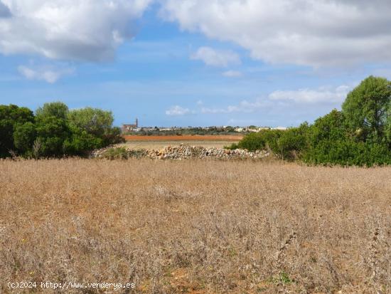 Terreno rústico de más de 18.500 m2 cerca de Ses Salines - BALEARES