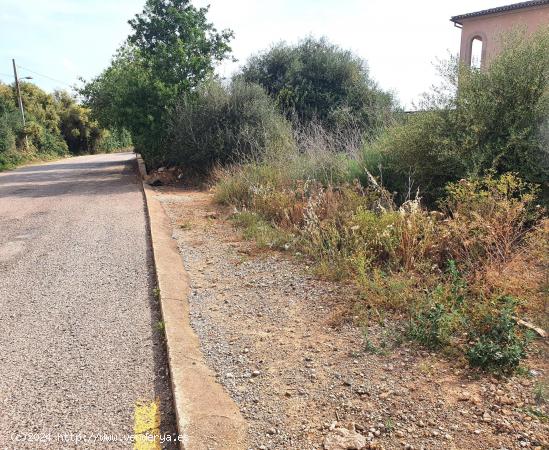 Solar con muchas posibilidades en Ses Salines - BALEARES