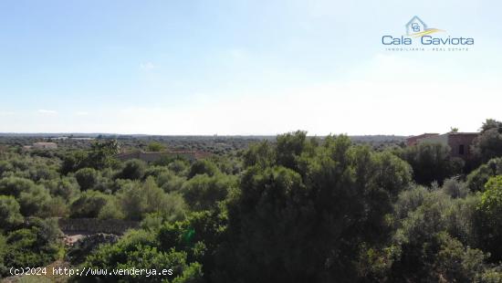 Gran terreno rústico en la zona de Cas Perets - BALEARES