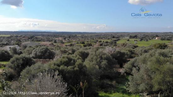 Gran solar con inmejorables vistas - BALEARES