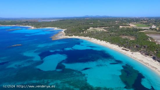 Solar de más de 1.100 m2 para promoción - BALEARES