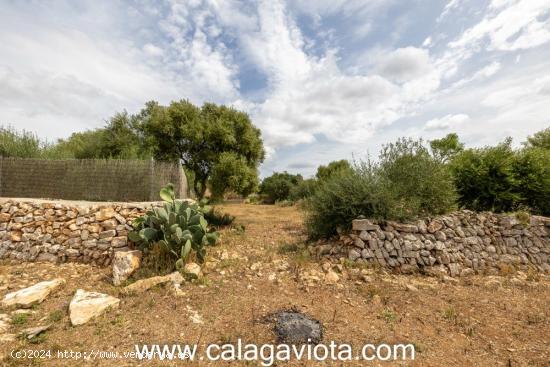 Espectacular terreno a las afueras de Ses Salines - BALEARES