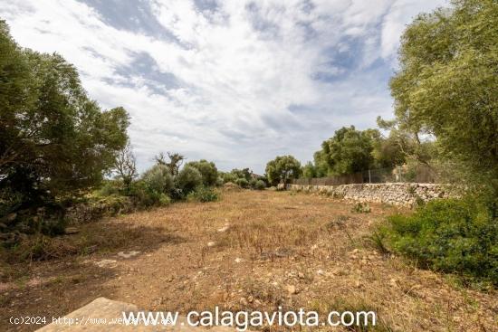 Espectacular terreno a las afueras de Ses Salines - BALEARES