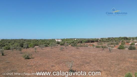  Terreno de 17.000 m2 con bonitas vistas - BALEARES 