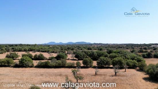 Terreno de 19.000 m2 a 2 km de Ses Salines - BALEARES