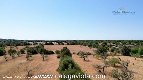 Terreno de 19.000 m2 a 2 km de Ses Salines - BALEARES