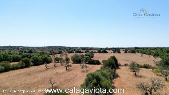 Terreno de 19.000 m2 a 2 km de Ses Salines - BALEARES