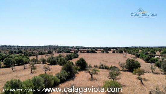 Terreno de 19.000 m2 a 2 km de Ses Salines - BALEARES