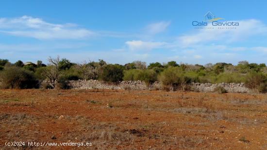  Terreno de 26.000 m2 en buena zona - BALEARES 