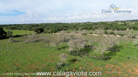 Gran terreno en Cas Perets - BALEARES