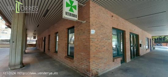 Local comercial acondicionado en avenida América. Buena ubicación. - TERUEL