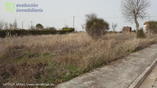 Solar en Sarracin de Burgos, 600 metros. superficie parcela, orientación sur. - BURGOS