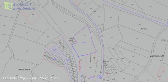 TERRENO URBANIZABLE FUENTELCESPED - ARANDA- - BURGOS