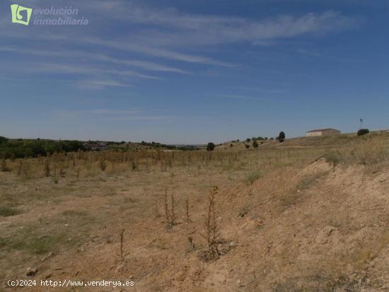 TERRENO URBANIZABLE FUENTELCESPED - ARANDA- - BURGOS