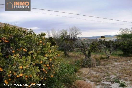 Terreno en Casa Palacio, Lorca, con casa y espacio para una o más viviendas. - MURCIA