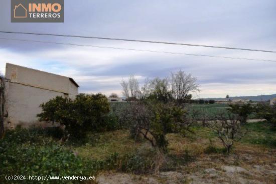 Terreno en Casa Palacio, Lorca, con casa y espacio para una o más viviendas. - MURCIA