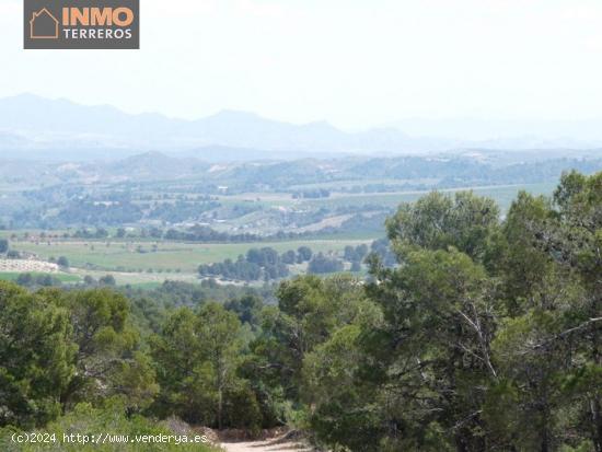 A la venta magnífica finca ecológica con 15 parcelas entre Murcia y Andalucía. - MURCIA