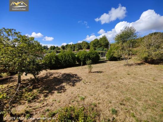 SE VENDE CASA DE PIEDRA CON PARCELA DE 3500M EN COLES REF 6277 - ORENSE