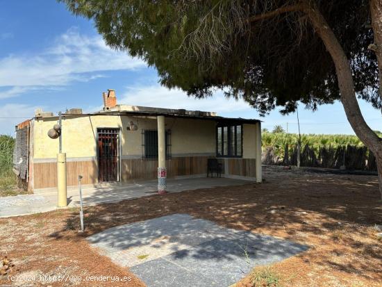  Oportunidad Casa de Campo para reformar en el Derramador - ALICANTE 