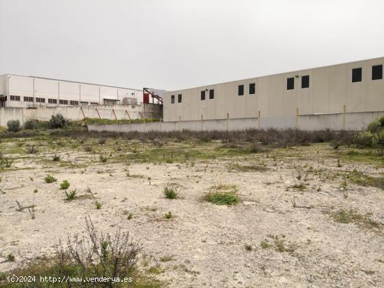 Magnífico solar industrial en venta en el polígono Cerro Gordo (Lucena) - CORDOBA