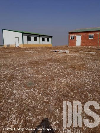  TERRENO URBANIZABLE CERCA DE CASAS DE JUAN NUÑEZ - ALBACETE 