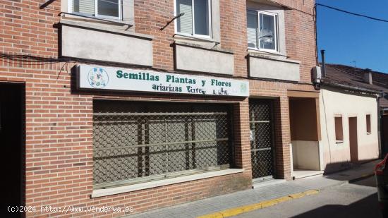 ALQUILER LOCAL COMERCIAL EN MOZONCILLO - SEGOVIA